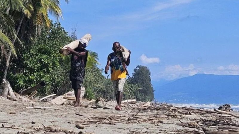 Warga yang berburu kayu hanyut (Dok. Ist)