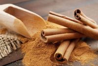 Kayu manis (Dok. Ist)