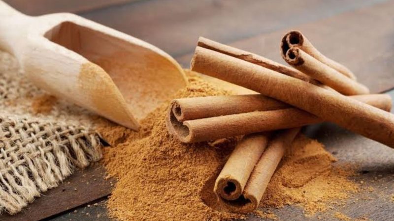 Kayu manis (Dok. Ist)