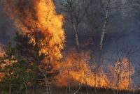 Kebakaran hutan (Dok. Ist)