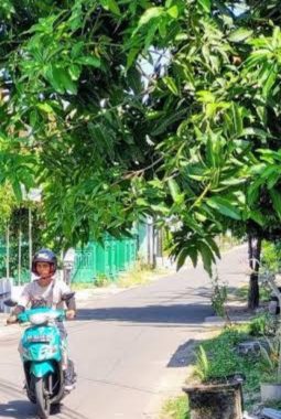 Maling Pecah Kaca Mobil Pajero di Ponorogo, Bawa Kabur Uang Rp 350 Juta
