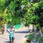 Maling pecah kaca mobil Pajero (Dok. Ist)