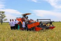 Beras Indonesia surplus (Dok. Ist)