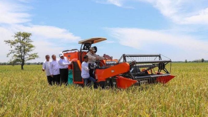Beras Indonesia surplus (Dok. Ist)