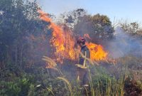 Palembang Lakukan Antisipasi Kebakaran Hutan di Musim Kemarau