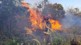 Palembang Lakukan Antisipasi Kebakaran Hutan di Musim Kemarau