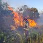 Palembang Lakukan Antisipasi Kebakaran Hutan di Musim Kemarau