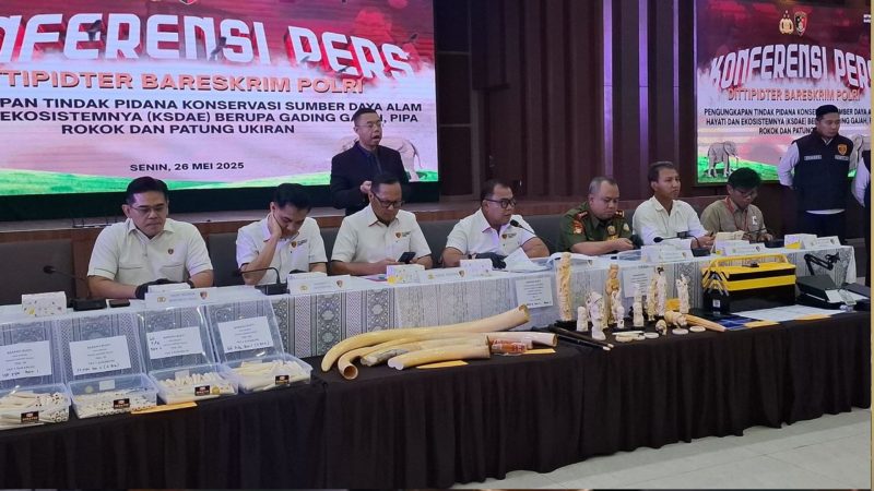 Konferensi kasus pengedar gading gajah (Dok. Ist)