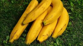 Pisang tanduk yang diklaim menguntungkan petani (Dok. Ist)