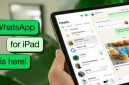 WhatsApp tersedia di iPad (Dok. Ist)