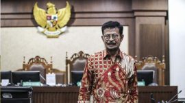 Mantan Mentan (Dok. Ist)