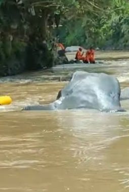 Bocah 11 Tahun di Pamekasan Hilang Terseret Arus Sungai Saat Bermain