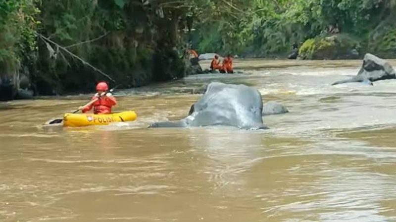 Bocah Pamekasan yang hilang (Dok. Ist)