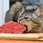 Apakah Kucing Boleh Makan Daging Kambing