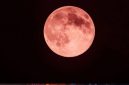 Strawberry Moon (Dok. Ist)
