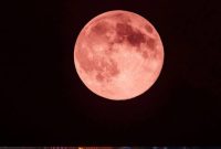 Strawberry Moon (Dok. Ist)