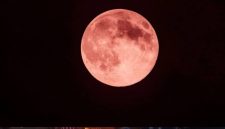 Strawberry Moon (Dok. Ist)