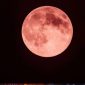 Strawberry Moon (Dok. Ist)