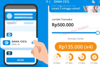Cara Pinjam Uang di Aplikasi DANA