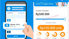Cara Pinjam Uang di Aplikasi DANA