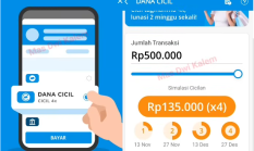 Butuh Dana Cepat? Begini Cara Pinjam Uang di Aplikasi DANA dengan Mudah dan Aman!