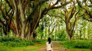 4 Surga Tersembunyi di Banyuwangi yang Bikin Liburan Makin Berkesan, Cocok Buat Kamu yang Cari Ketentraman Alam