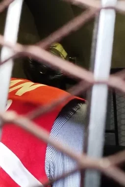 Kasus Kredit Fiktif SPP, Pimpinan BRI Ponorogo Tegas: PHK dan Tak Ada Toleransi!