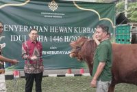 KLH serahkan 33 Hewan Qurban (Dok. Ist)