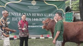 KLH serahkan 33 Hewan Qurban (Dok. Ist)