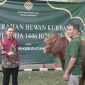 KLH serahkan 33 Hewan Qurban (Dok. Ist)