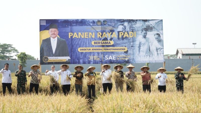 Para napi yang panen padi (Dok. Ist)