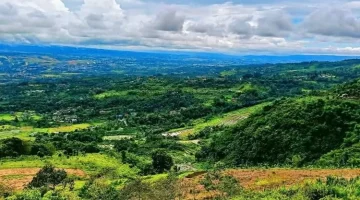 Camping Murah Meriah di Bukit Alesano Bogor, Nikmati Pemandangan Spektakuler dan Malam Minggu Penuh Cerita