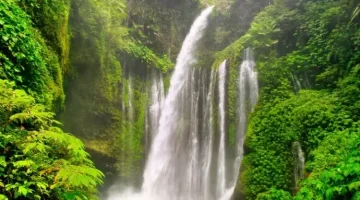 Menjelajah Air Terjun Sendang Gile di Lombok Utara, Jernih dan Menyegarkan di Tengah Alam Nan Mempesona
