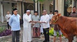 PGN bagikan daging qurban ke masyarakat (Dok. Ist)