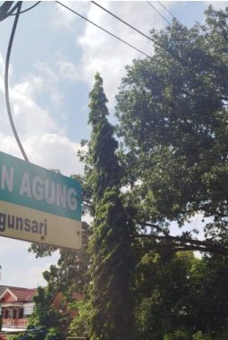 Pemkab Ponorogo Lanjutkan Revitalisasi Trotoar dan Lampu Jalan di Dua Ruas Utama Kota