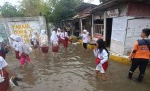 Banjir Rob Kembali Rendam Permukiman Warga di Pluit, Air Capai 55 Sentimeter