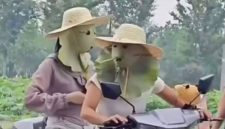 Masker dari bunga teratai (Dok. Ist)
