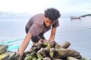 Warga yang tengah membuang pisang ke laut (Dok. Ist) 