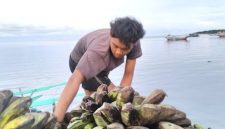 Warga yang tengah membuang pisang ke laut (Dok. Ist) 