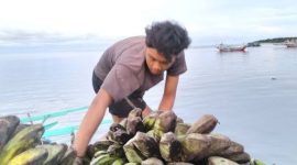 Warga yang tengah membuang pisang ke laut (Dok. Ist) 