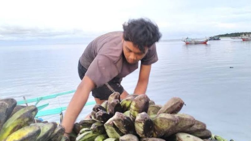Warga yang tengah membuang pisang ke laut (Dok. Ist) 