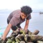 Warga yang tengah membuang pisang ke laut (Dok. Ist) 