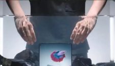 Vivo X Fold 5 (Dok. Ist)