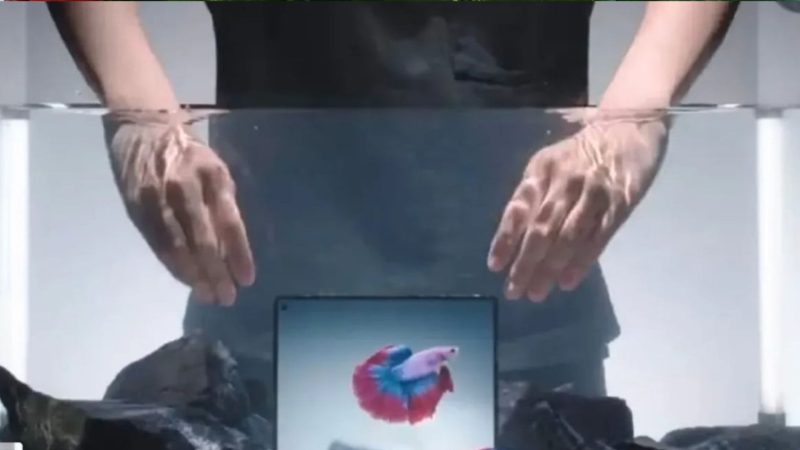 Vivo X Fold 5 (Dok. Ist)