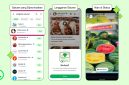 Fitur iklan di WhatsApp (Dok. Ist)