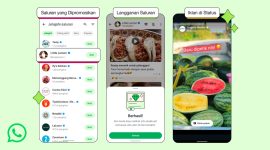 Fitur iklan di WhatsApp (Dok. Ist)