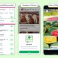 Fitur iklan di WhatsApp (Dok. Ist)