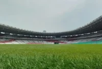 Ketum PSSI Pastikan Rumput GBK Capai 98% Kesiapan