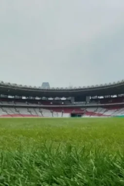 Jelang Kontra China, Ketum PSSI Pastikan Rumput GBK Capai 98% Kesiapan