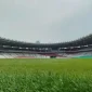 Ketum PSSI Pastikan Rumput GBK Capai 98% Kesiapan